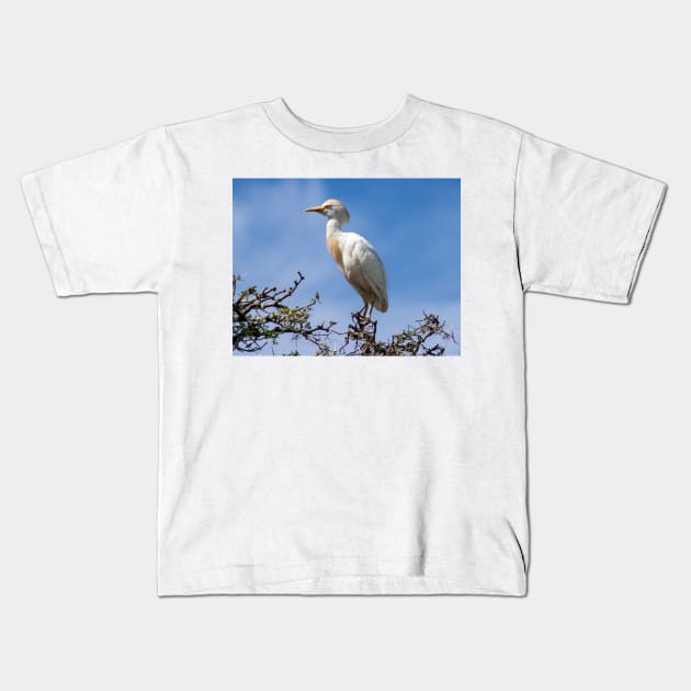 Cattle egret perched on a tree Kids T-Shirt by HazelWright